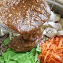 Soba noodles spicy chicken peanut sauce miss another recipe sign don travel post