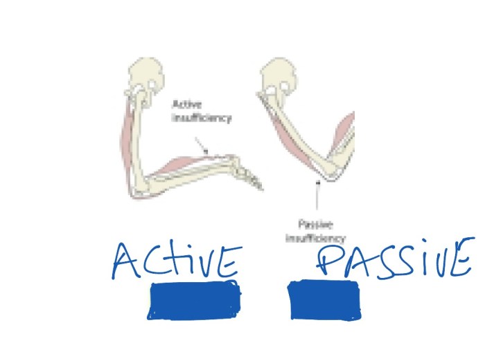 Examples of active and passive insufficiency