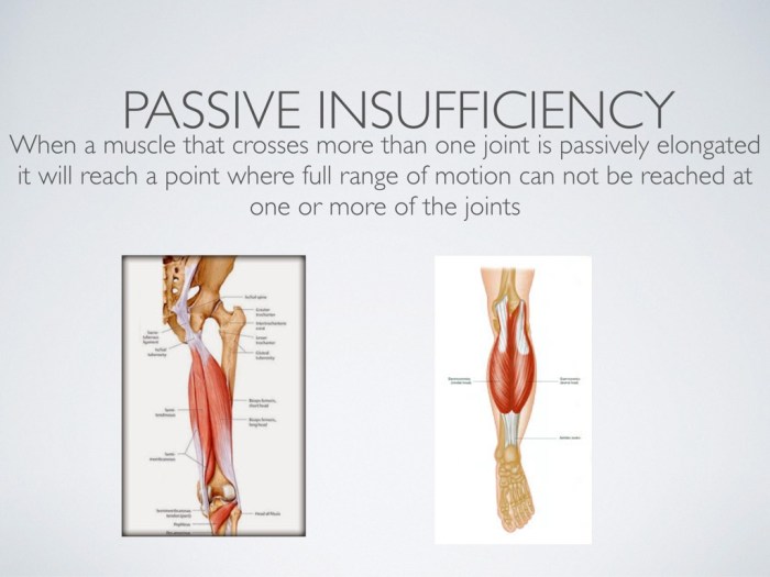 Examples of active and passive insufficiency