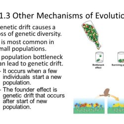 Chapter 10 principles of evolution answer key