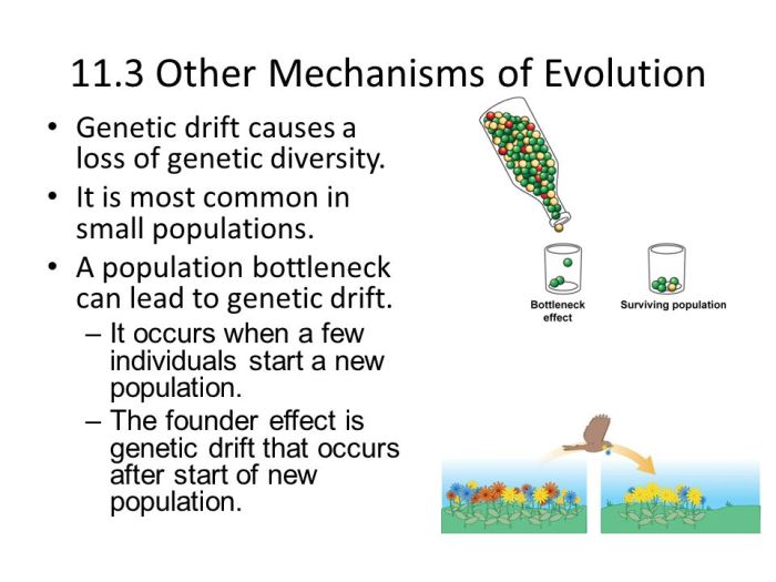 Chapter 10 principles of evolution answer key