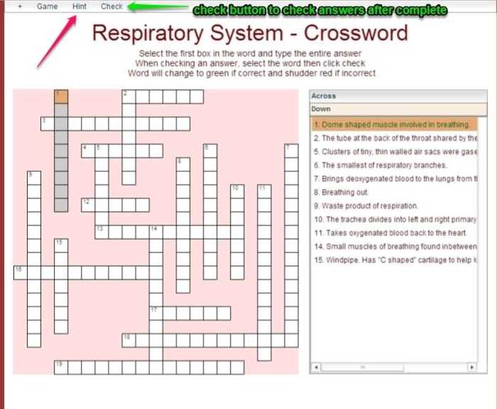 Cellular respiration crossword puzzle answer key