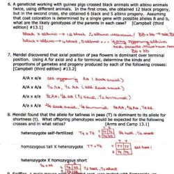 In the womb national geographic answer key