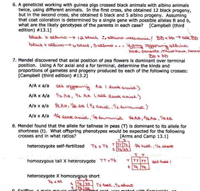 In the womb national geographic answer key