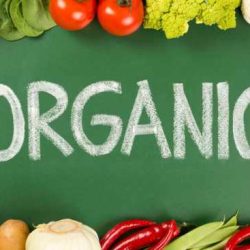 Organic food mexico foods eat choose imagine reasons cancer mercola december rates increase liver pancreatic rise continue why sales health