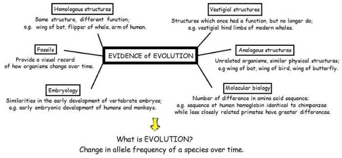 Chapter 10 principles of evolution answer key